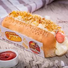 Perro criollo